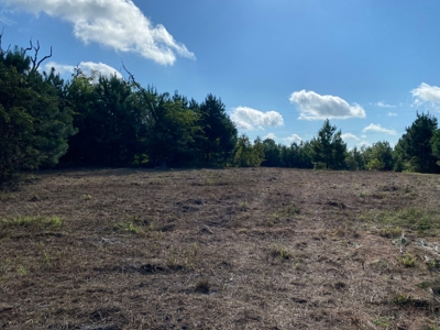Land for sale in East Texas - image 17
