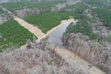 Rural Timberland near Stephens, AR for Sale w/ Pond and Barn - image 20