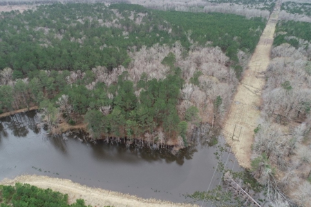 Rural Timberland near Stephens, AR for Sale w/ Pond and Barn - image 15