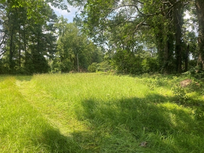 Rural Timberland near Stephens, AR for Sale w/ Pond and Barn - image 9