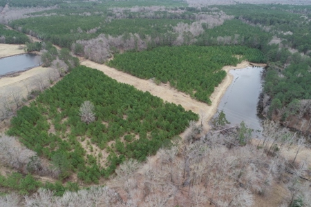 Rural Timberland near Stephens, AR for Sale w/ Pond and Barn - image 18