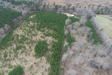 Rural Timberland near Stephens, AR for Sale w/ Pond and Barn - image 19