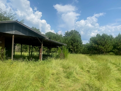 Rural Timberland near Stephens, AR for Sale w/ Pond and Barn - image 1