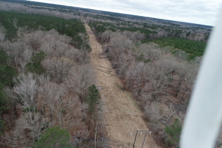 Rural Timberland near Stephens, AR for Sale w/ Pond and Barn - image 14
