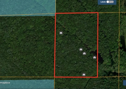 Hunting Land For Sale Warrick Cty IN, Borders Interlake SRA - image 1