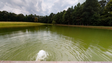 Country home with 44 acre, pool, pond and shop. - image 7