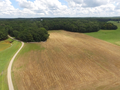 Country home with 44 acre, pool, pond and shop. - image 30