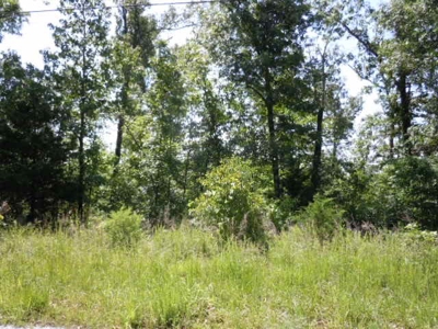 Lot On Diamond Lake For Sale - image 2
