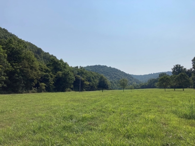 White River Riverfront Lot near Guion, AR For Sale - image 14