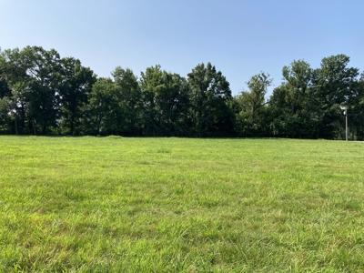 White River Riverfront Lot near Guion, AR For Sale - image 4