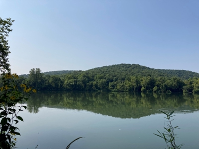 White River Riverfront Lot near Guion, AR For Sale - image 13