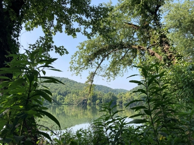 White River Riverfront Lot near Guion, AR For Sale - image 12