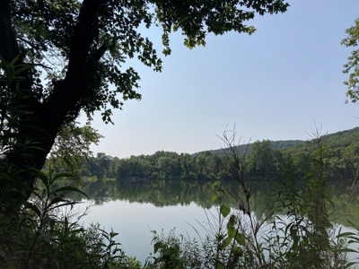 White River Riverfront Lot near Guion, AR For Sale - image 11
