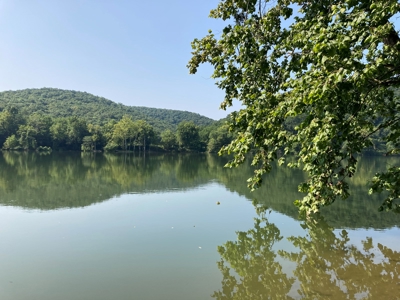 White River Riverfront Lot near Guion, AR For Sale - image 17