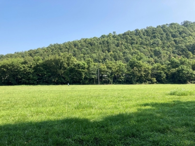 White River Riverfront Lot near Guion, AR For Sale - image 6