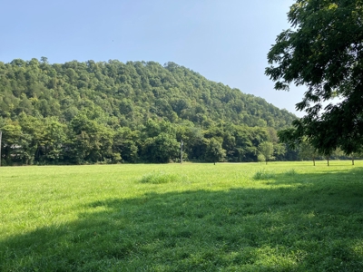 White River Riverfront Lot near Guion, AR For Sale - image 8