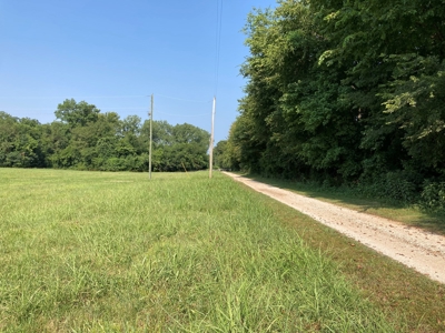 White River Riverfront Lot near Guion, AR For Sale - image 3