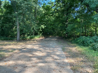 White River Riverfront Lot near Guion, AR For Sale - image 18