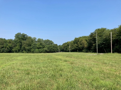 White River Riverfront Lot near Guion, AR For Sale - image 14