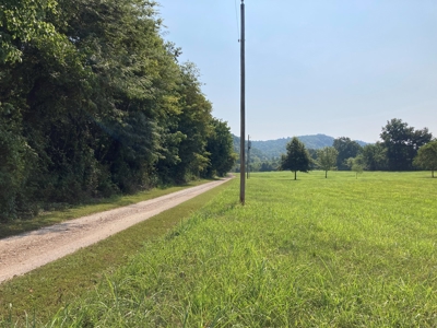 White River Riverfront Lot near Guion, AR For Sale - image 2