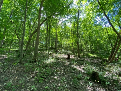 Multi Property Online Only Auction Lone Rock 9-23-21 - image 38