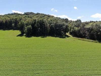 Multi Property Online Only Auction Lone Rock 9-23-21 - image 46