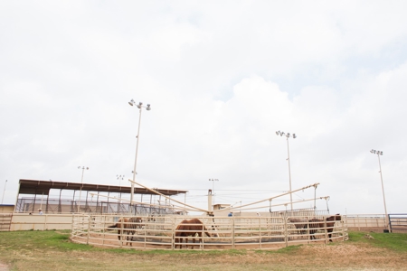 West Texas Equine Training, Breeding, Event Center for Sale - image 7