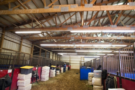 West Texas Equine Training, Breeding, Event Center for Sale - image 8