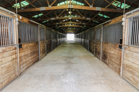 West Texas Equine Training, Breeding, Event Center for Sale - image 22