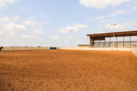 West Texas Equine Training, Breeding, Event Center for Sale - image 24
