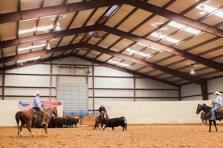West Texas Equine Training, Breeding, Event Center for Sale - image 13