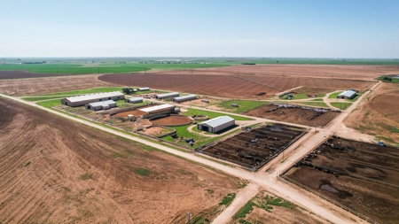 West Texas Equine Training, Breeding, Event Center for Sale - image 35