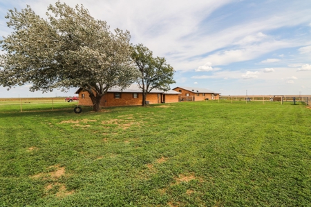 West Texas Equine Training, Breeding, Event Center for Sale - image 41