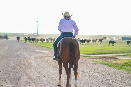 West Texas Equine Training, Breeding, Event Center for Sale - image 42