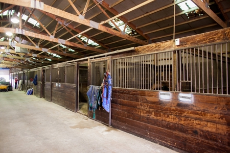 West Texas Equine Training, Breeding, Event Center for Sale - image 4