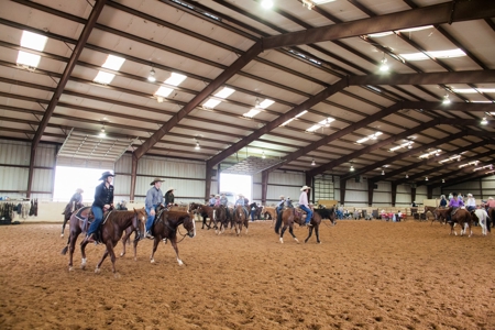 West Texas Equine Training, Breeding, Event Center for Sale - image 3