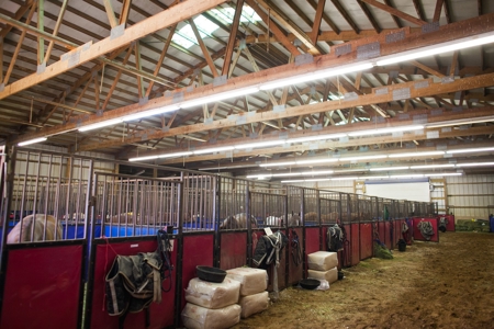 West Texas Equine Training, Breeding, Event Center for Sale - image 9