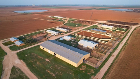 West Texas Equine Training, Breeding, Event Center for Sale - image 21