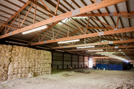 West Texas Equine Training, Breeding, Event Center for Sale - image 12