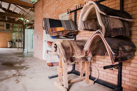 West Texas Equine Training, Breeding, Event Center for Sale - image 5