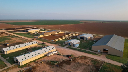 West Texas Equine Training, Breeding, Event Center for Sale - image 19