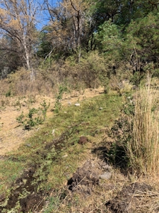 48561 County Rd. 1, Ft. Bidwell - image 3