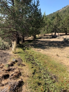 48561 County Rd. 1, Ft. Bidwell - image 4