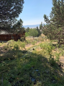 48561 County Rd. 1, Ft. Bidwell - image 16