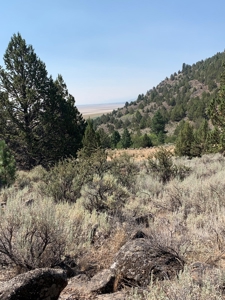 48561 County Rd. 1, Ft. Bidwell - image 27