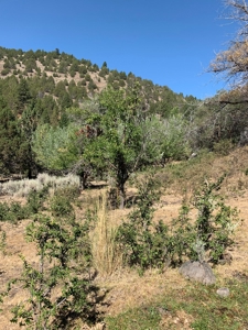 48561 County Rd. 1, Ft. Bidwell - image 5