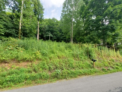 Land for Sale in Abingdon VA - image 1