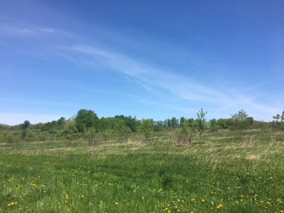 Antique Farm with lots of Road Frontage in Fulton County, NY - image 7