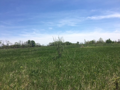 Antique Farm with lots of Road Frontage in Fulton County, NY - image 10