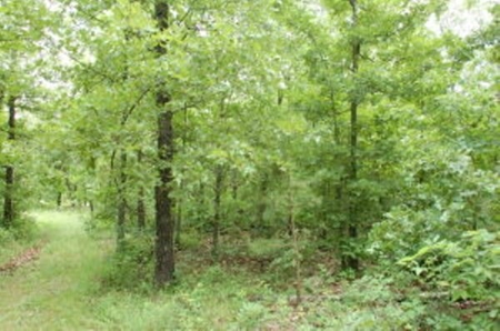 Hunting Property For Sale, West Plains, Missouri Ozarks - image 1